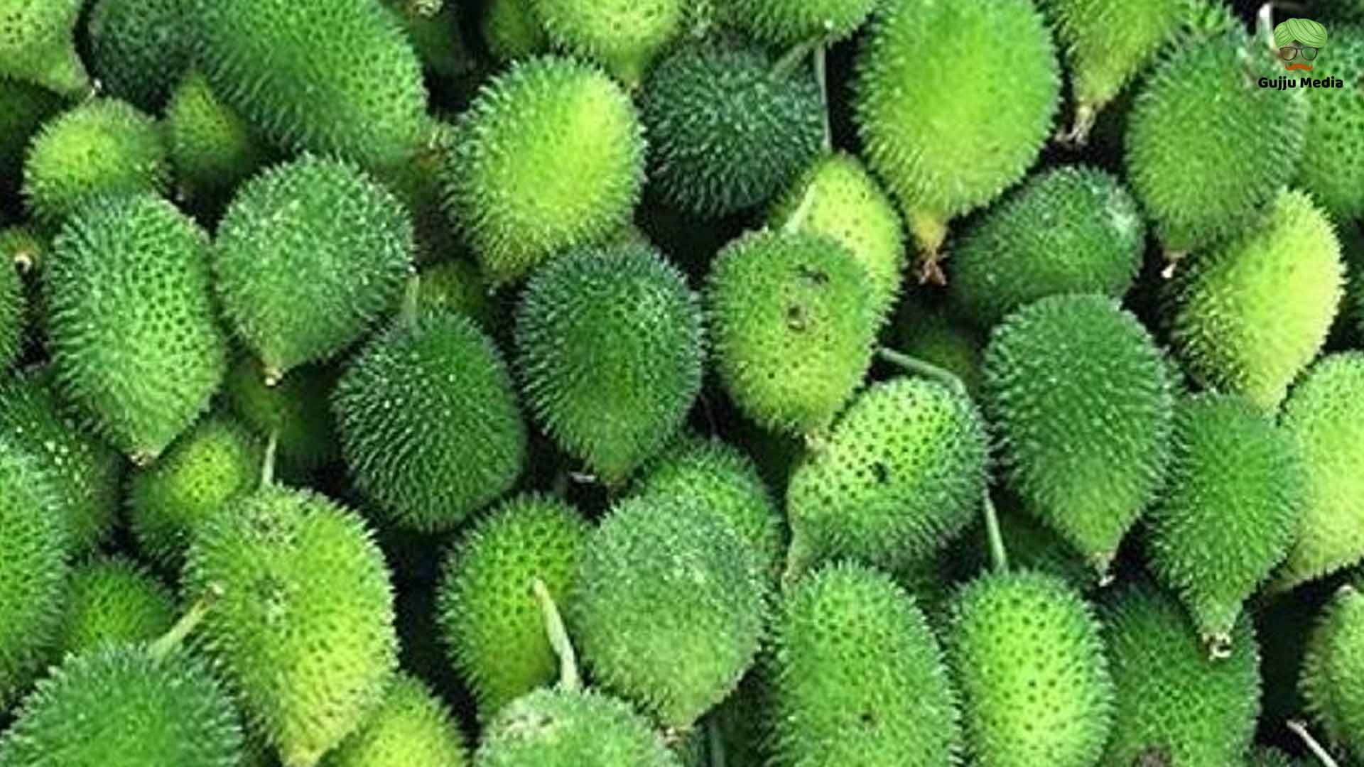 kantola