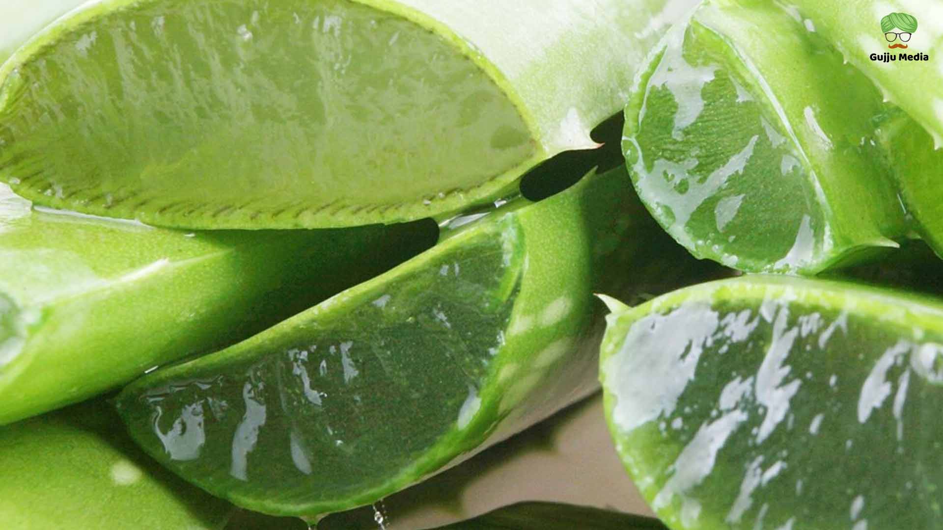 aloe vera hd
