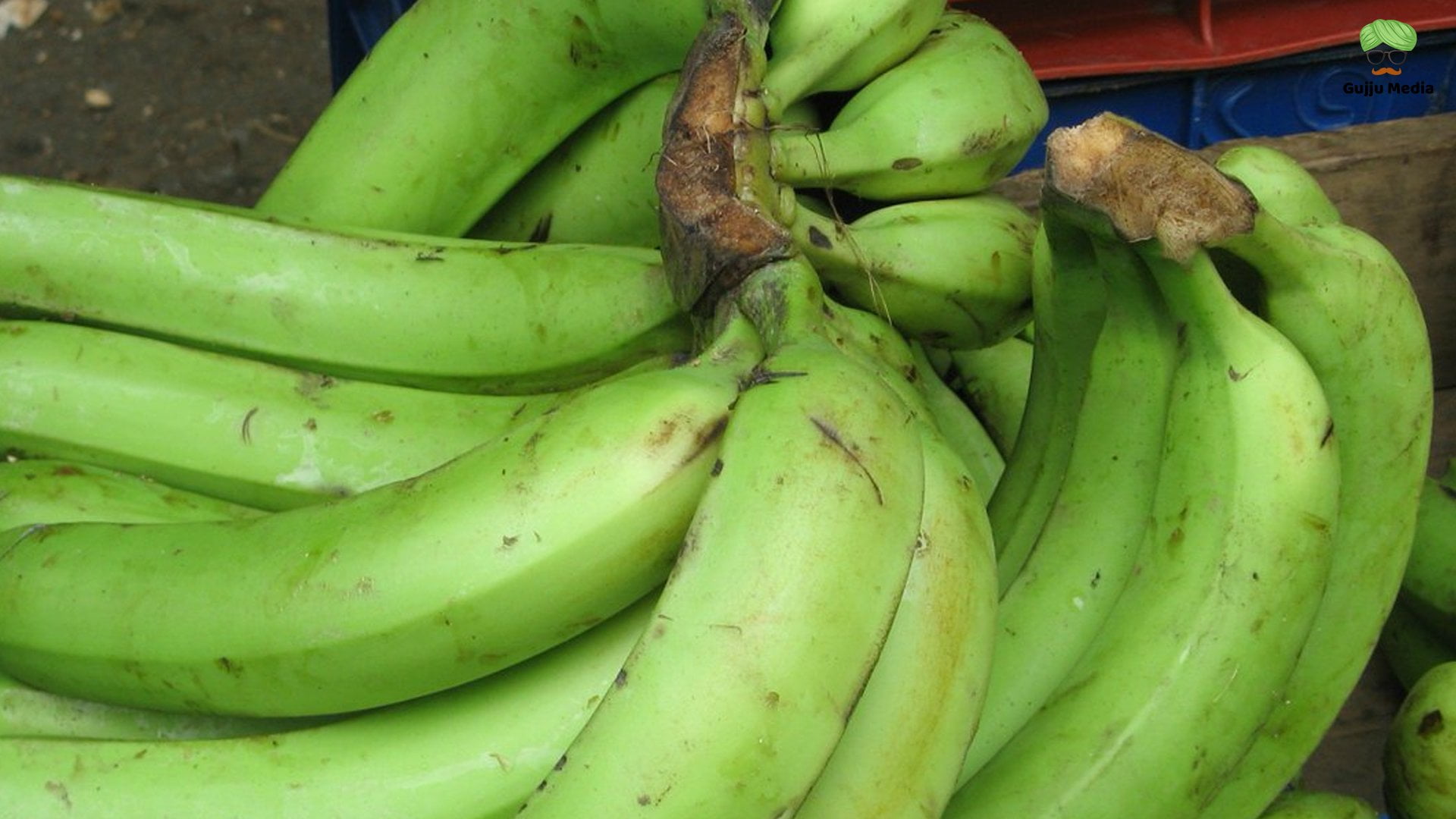 Плантан. Африканский плантан. Plátano macho банан. Bearberry + Plantain.