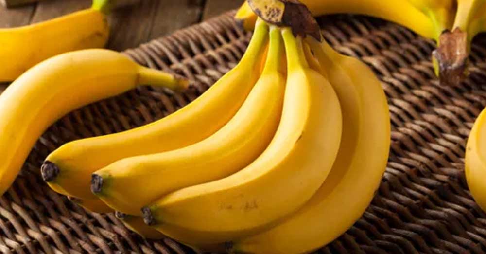 નવરાત્રીમાં હેલ્દી રહેવા માટે અપનાવો આ ડાઈટ પ્લાન: નવરાત્રી ડાઈટ પ્લાન 2 Banana