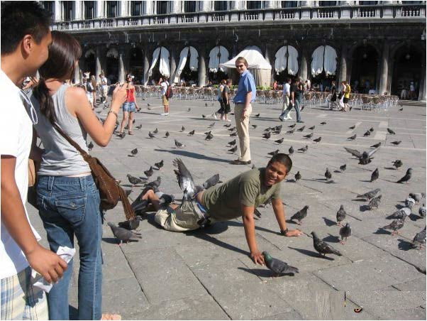 વર્લ્ડના 10 બેસ્ટ પિક્ચર જે જોઇને તમે હસી-હસીને લોથપોથ થઇ જશો. 3 Gujjumedia