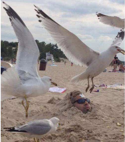 વર્લ્ડના 10 બેસ્ટ પિક્ચર જે જોઇને તમે હસી-હસીને લોથપોથ થઇ જશો. 2 Gujjumedia