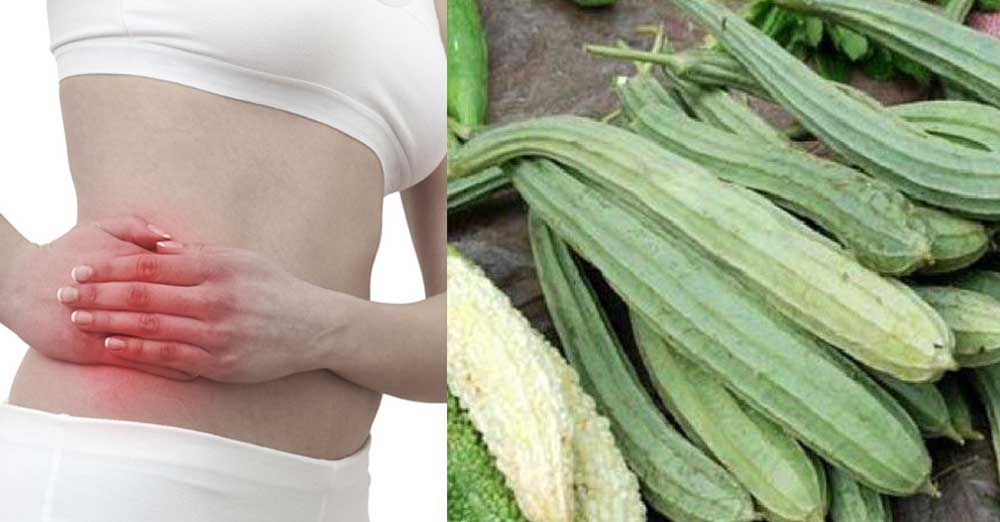 આ છોડ કિડનીની પથરીને માત્ર 3 જ દિવસમાં ઓગાળી દેશે. 3 Kidani 1Stone