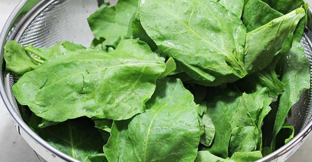 શાકભાજીનો રંગ રાંધ્યા પછી પણ લીલો કેવી રીતે જાળવશો? 2 Palakh