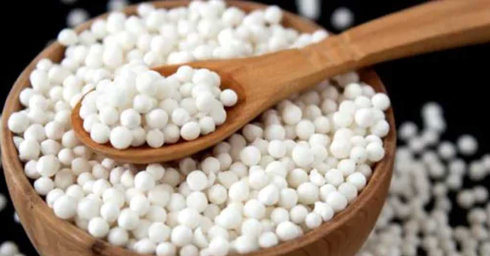 નવરાત્રીમાં હેલ્દી રહેવા માટે અપનાવો આ ડાઈટ પ્લાન: નવરાત્રી ડાઈટ પ્લાન 7 Sabudana