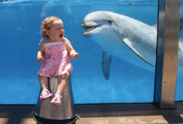 વર્લ્ડના 10 બેસ્ટ પિક્ચર જે જોઇને તમે હસી-હસીને લોથપોથ થઇ જશો. 7 gujju media 4 story 6