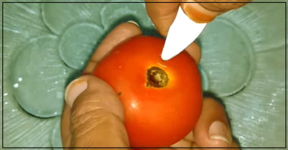 ભરેલાં રિંગણ તો બહું બનાવ્યા, આજે બનાવો ભરેલાં ટામેટાં 3 Bharela Tameta Recipe 1