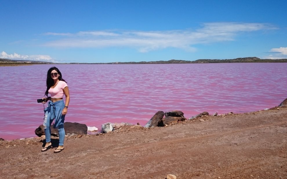 જાણો ક્યાં છે આ Pink Lake? કેમ છે એના પાણીનો રંગ ગુલાબી? 2 Pink Lake 5