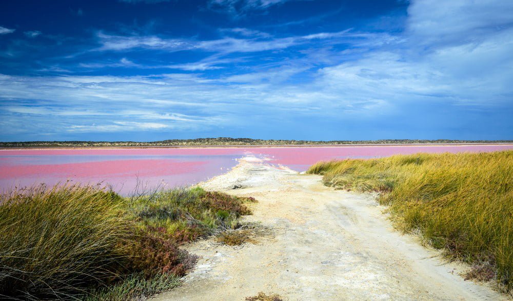 જાણો ક્યાં છે આ Pink Lake? કેમ છે એના પાણીનો રંગ ગુલાબી? 4 pink lake 2