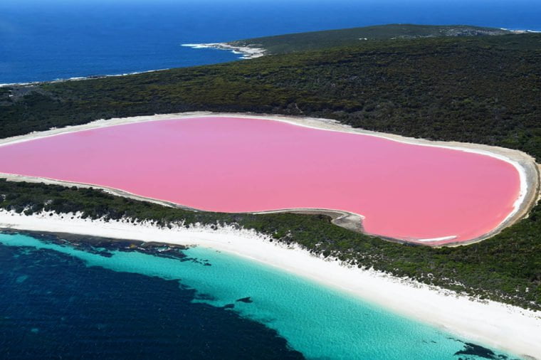 જાણો ક્યાં છે આ Pink Lake? કેમ છે એના પાણીનો રંગ ગુલાબી? 3 pink lake