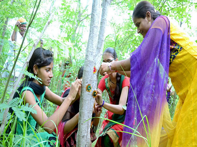 ભારતનાં 5 વિખ્યાત ગામડાઓ, જેમાં સમાવિષ્ટ છે 60 કરોડપતિઓ સાથેનું એક ગામ 6 pillaantri 06 1