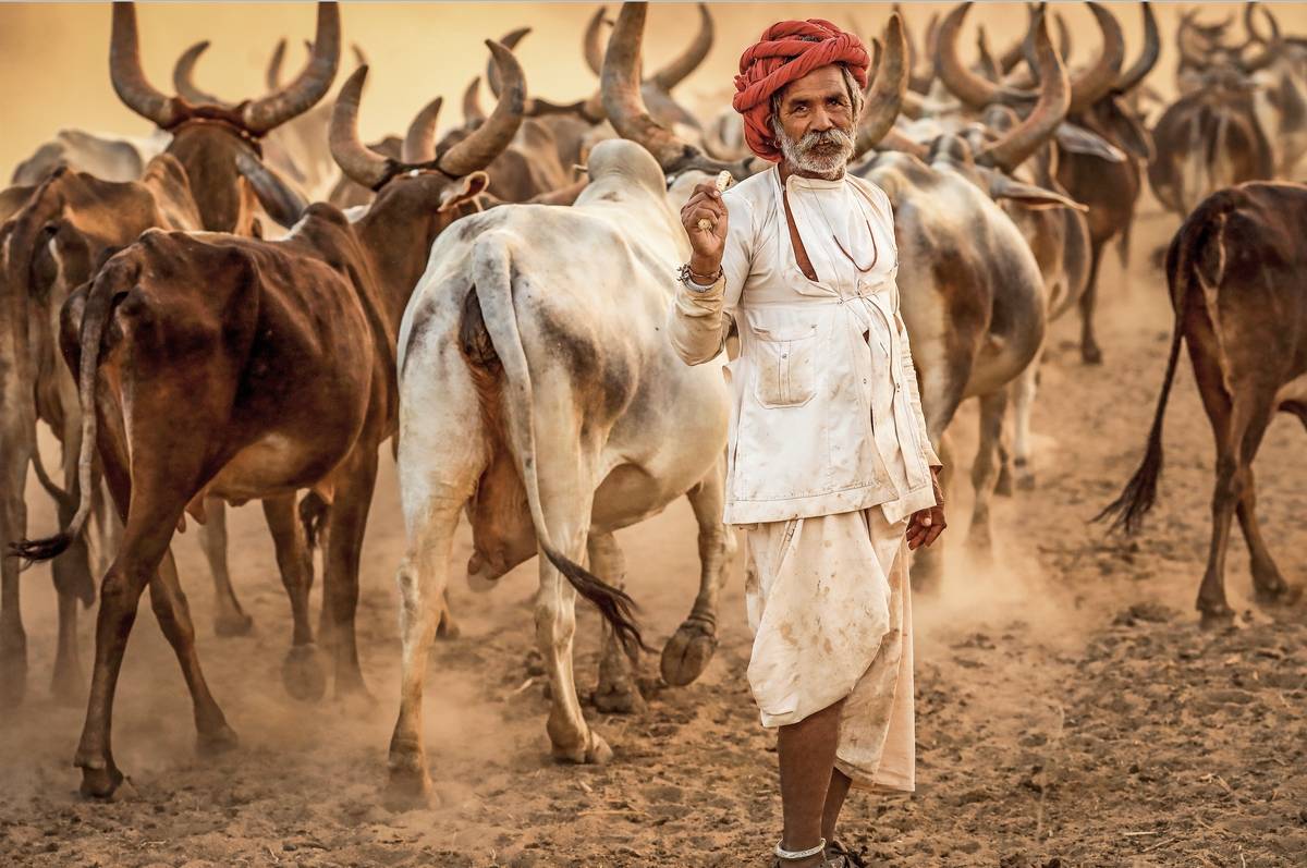 કચ્છ નહી દેખા તો કુછ નહી દેખા ....આવો જાણીએ કચ્છની જાણી-અજાણી વાતો ....... 10 AR 191009724