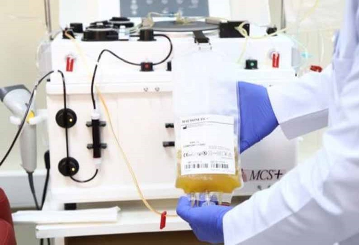 જાણો શું છે પ્લાઝમા થેરાપી અને કોરોના સામેની લડતમાં કેવી રીતે થઇ શકે છે ઉપયોગી 5 plazma therapy trials in india