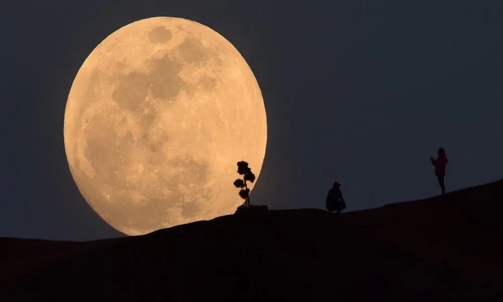 શું ગ્રહો તમને હેરાન કરે છે ? 3 kundli