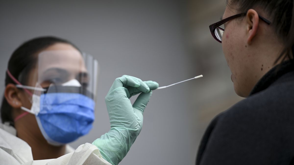 ગુજરાતના આ 11 જિલ્લાઓમાં નથી કોરોના ટેસ્ટિંગની સુવિધા, અન્ય જિલ્લામાં મોકલવામાં આવે છે ટેસ્ટ 4 1211693320.jpg.0