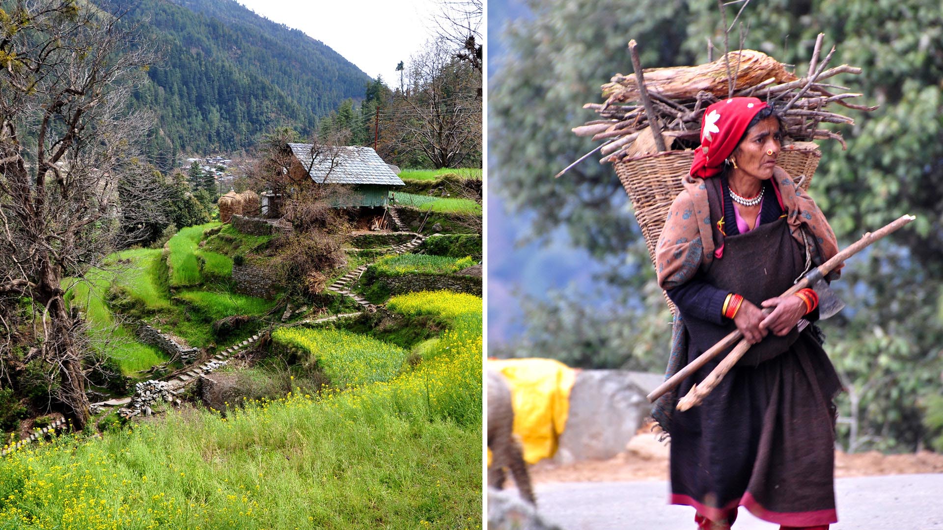 પર્યટકો માટે ખૂલ્યું હિમાચલ,ફરવા જવા માટે કરવું પડશે આ ગાઈડલાઈનનું પાલન 2 Feature image BAROT