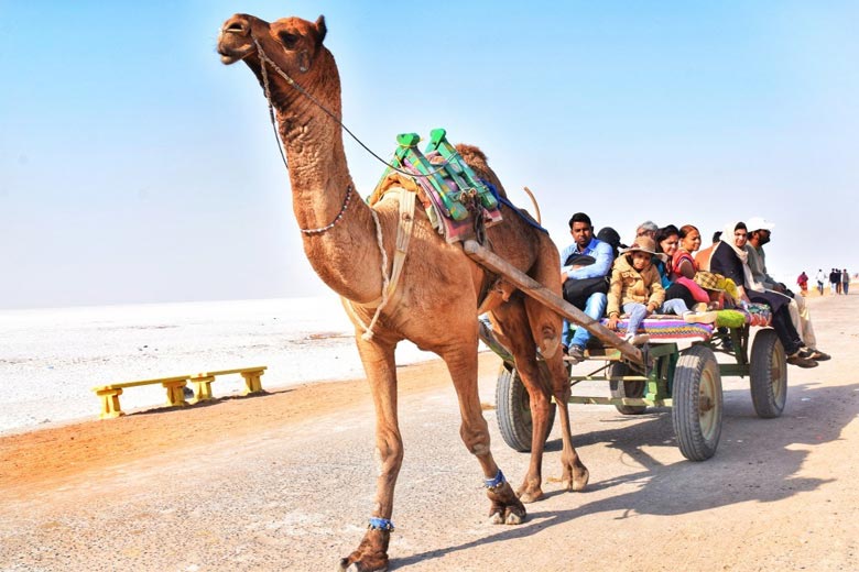 કોરોના વાયરસના કારણે રાજ્યમાં ટુરિઝમ ઉદ્યોગને પડ્યો કરોડોનો ફટકો,ટ્રાવેલ્સ એજન્સી-હોટેલો બંધ અવસ્થામાં 2 Gujarat Travel 1