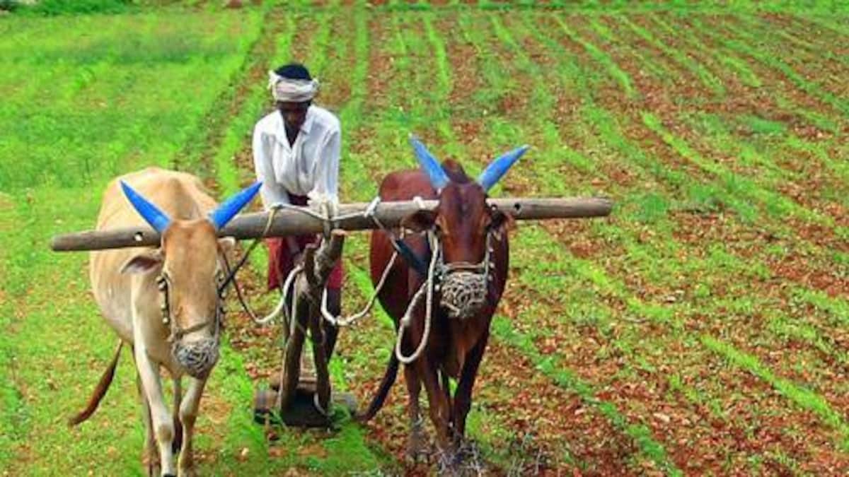 ખેડૂતો માટે ખુશીના સમાચાર,પાક નુકસાનીના વળતર માટે સરકારે લીધો આ નિર્ણય 20 farmingindia 505 122818030205