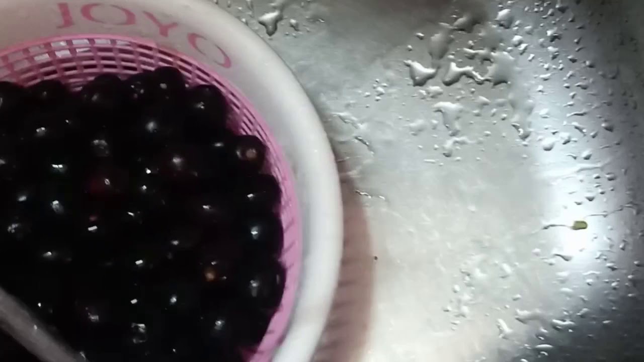 ઘરે બનાવો એકદમ બહાર જેવો ફેમસ જાંબુ શોટ્સ,જાણો જાંબુ શોટ્સ બનાવવાની એકદમ ઇઝી રેસિપી 3 maxresdefault 2020 07 13T221949.212