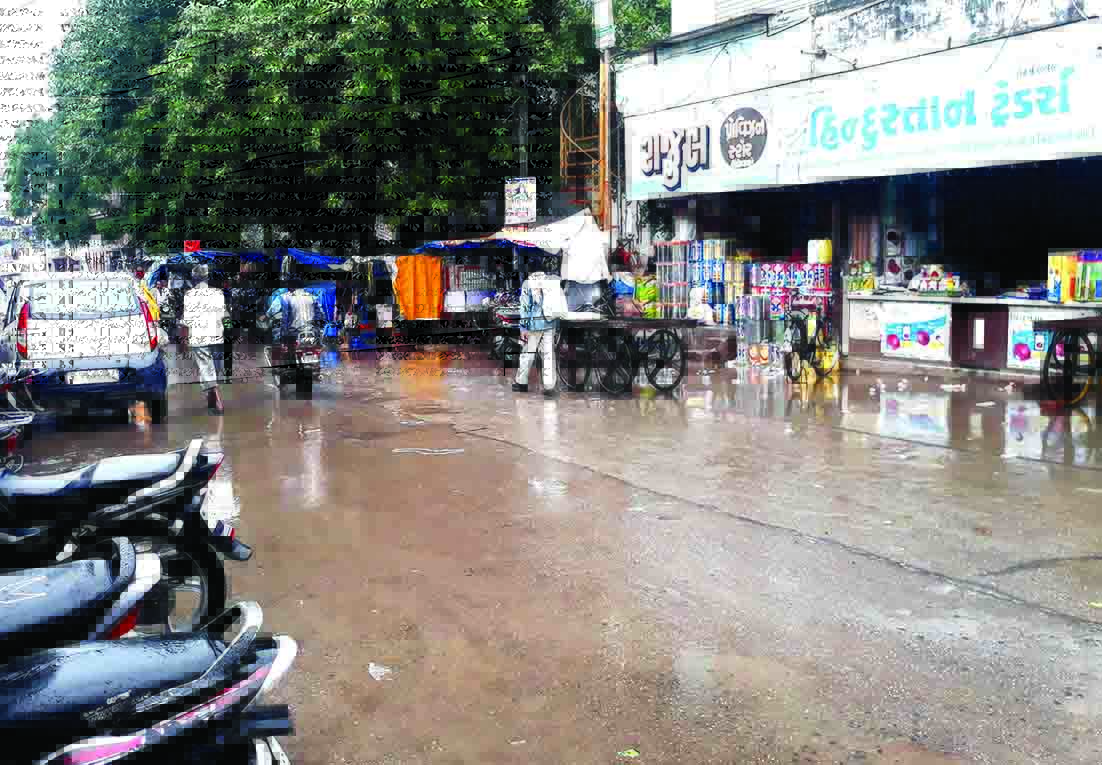 Talaja varsad metar foto 3 talaja varsad foto 31072017 IKS sRGB