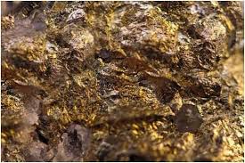 કીડીઓએ શોધી કાઢ્યો દેશનો સૌથી મોટો સોનાનો ભંડાર, જાણો કેવી રીતે થયું આ અદ્ભુત વસ્તુ? 3 images 33