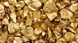 કીડીઓએ શોધી કાઢ્યો દેશનો સૌથી મોટો સોનાનો ભંડાર, જાણો કેવી રીતે થયું આ અદ્ભુત વસ્તુ? 4 images 35