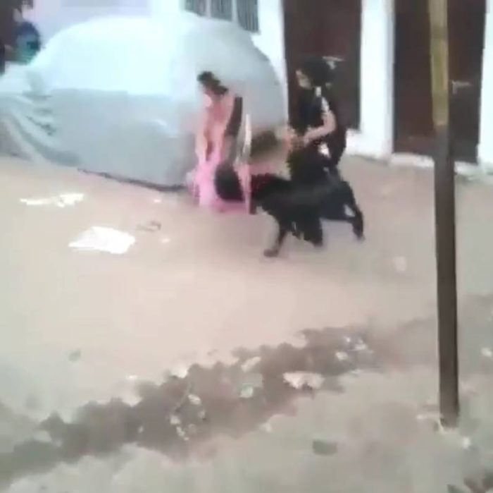 આ બકરો કોઈ WWE રેસલરથી ઓછો નથી, છોકરીને એક જ ઝાટકે આપી હતી જબરદસ્ત ટક્કર, જુઓ ફોટાઓ. 3 goat attack 700x699 1