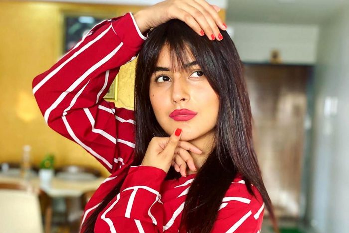 shehnaaz gill 1 2 700x467 1