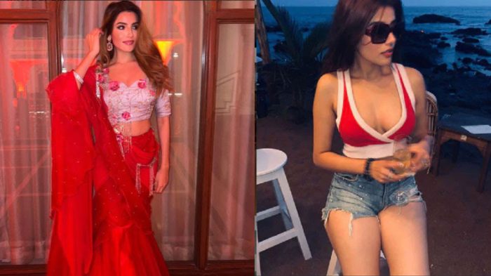 aditi girlfriend of ishan kishan 7 700x393 1