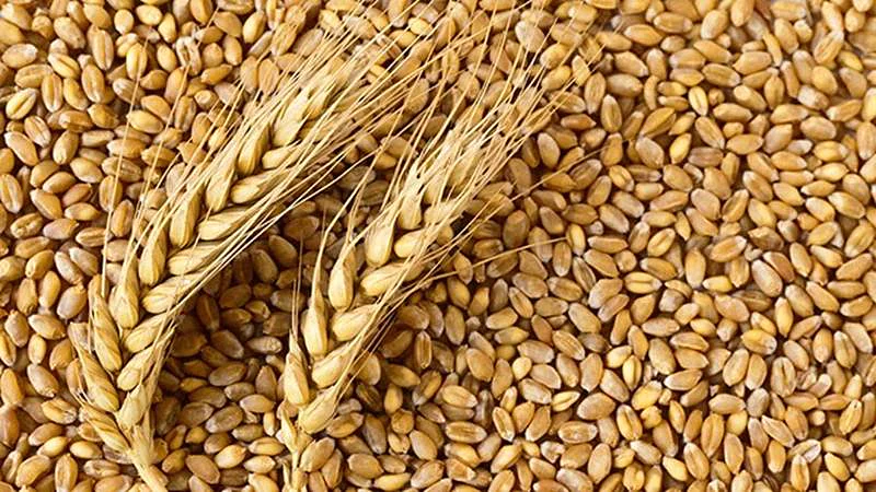 There was even a deal! Get home in exchange for wheat and garlic: Learn about this weird offer