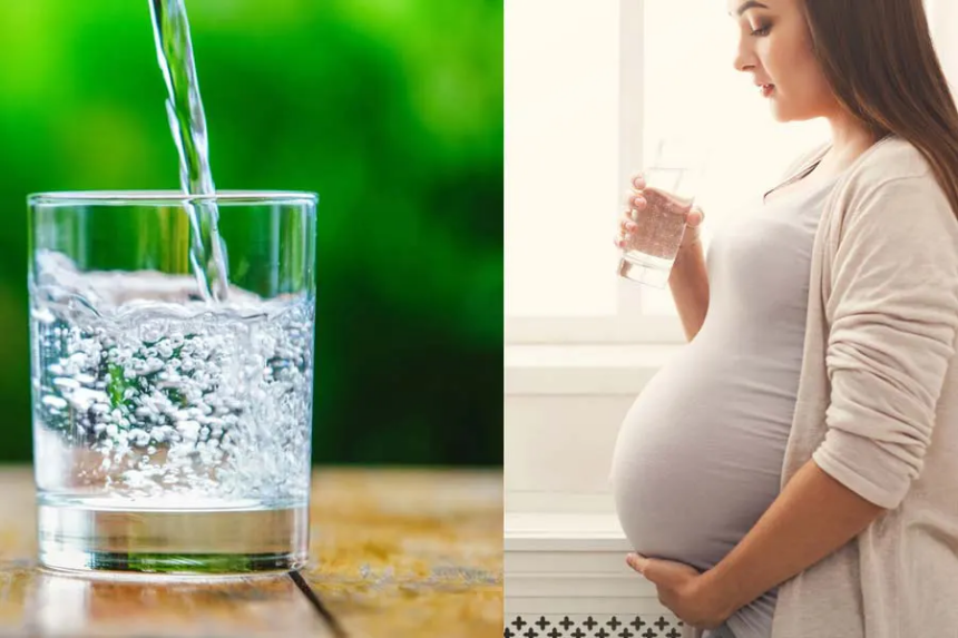 ગર્ભસ્થ મહિલાઓએ કેટલું પાણી પીવું જોઈએ? જાણો શું કહે છે એક્સપર્ટ 1 GM