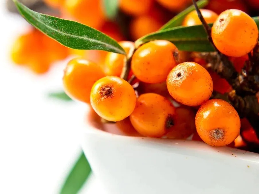 beware-of-beautiful-looking-fruits-they-are-counted-among-the-most-poisonous-fruits-in-the-world