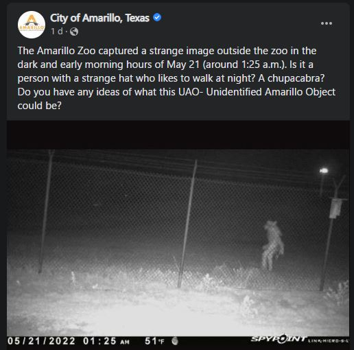 અમેરિકાના એક ઝૂ બહાર જોવા મળ્યું અજીબ જાનવર! લકોએ કહ્યું: એલિયન તો નથીને? 2 Strange animal found outside a zoo in America! Loco said: Not an alien?