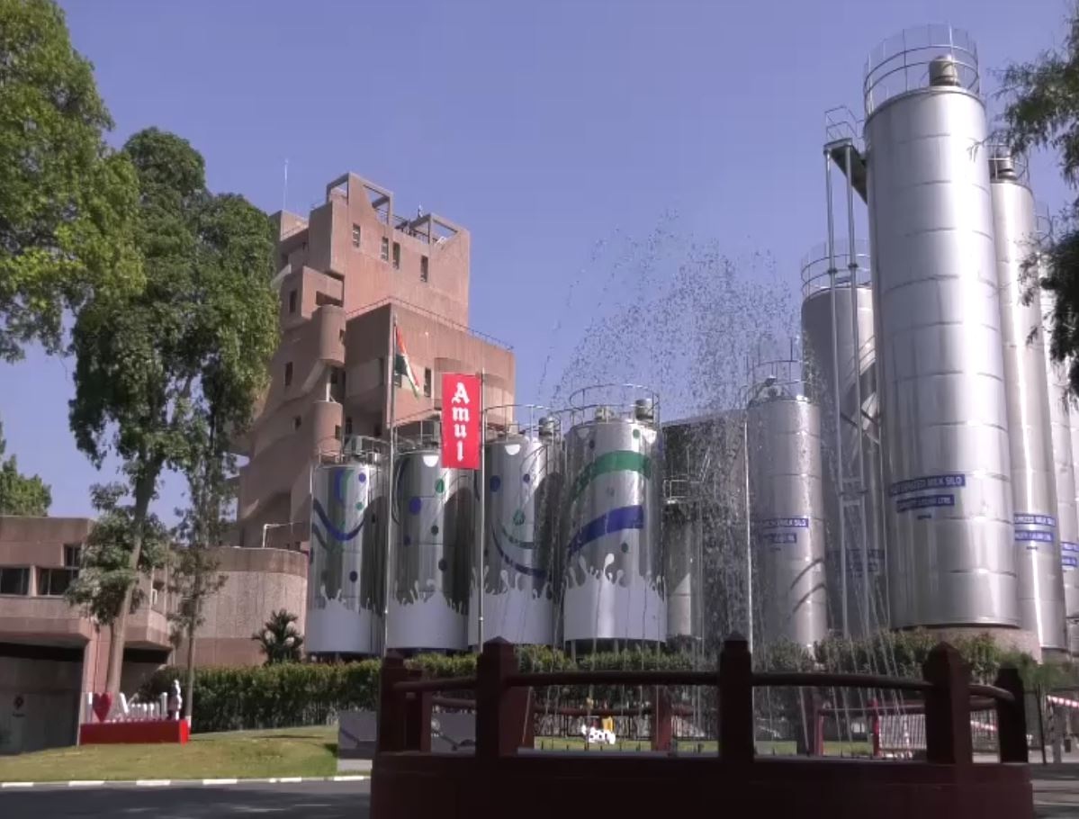 પશુ પાલકો માટે ફાયદાના સમાચાર! અમૂલ ડેરીએ દૂધના ખરીદ ભાવમાં 10 રૂનો વધારો કર્યો 4 Beneficial news for animal breeders! Amul Dairy has increased the purchase price of milk by Rs