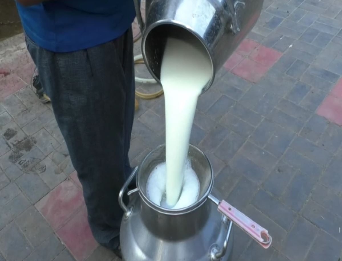 Beneficial news for animal breeders! Amul Dairy has increased the purchase price of milk by Rs