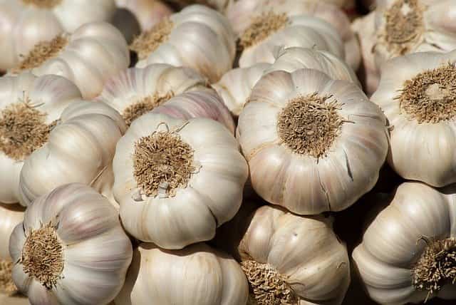 There was even a deal! Get home in exchange for wheat and garlic: Learn about this weird offer