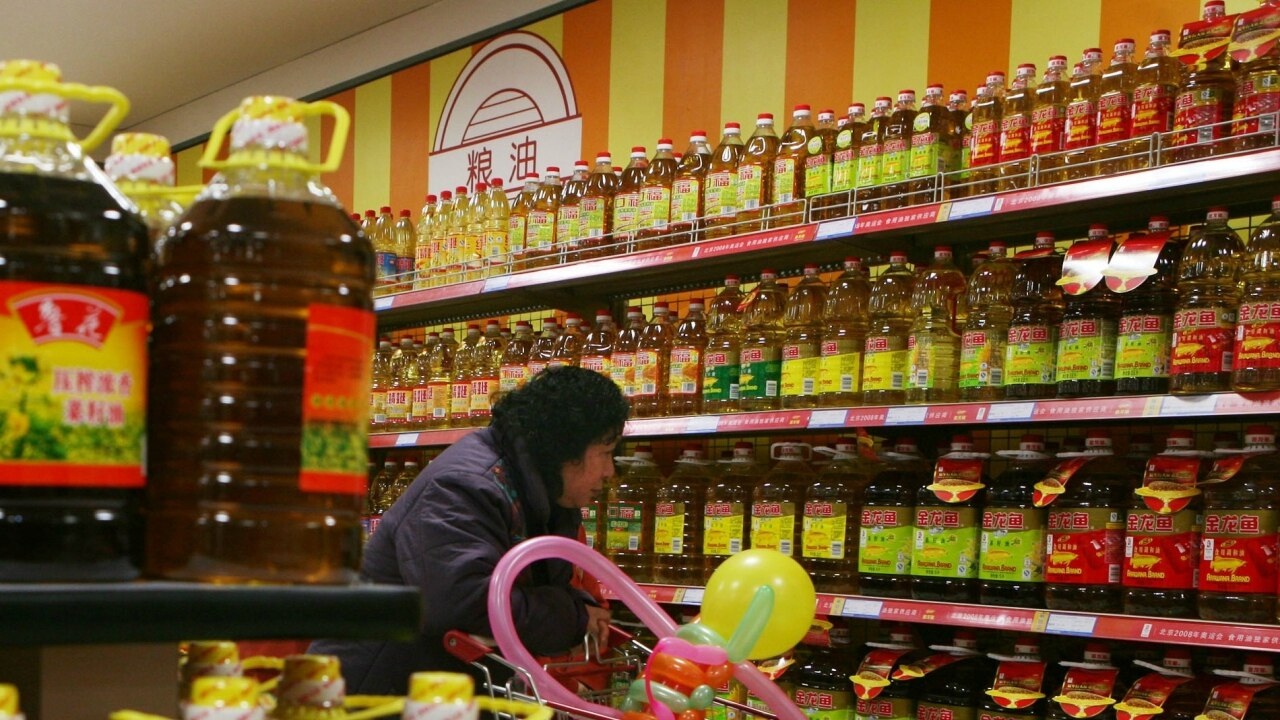 Singtel and cottonseed oil have risen by Rs 500 in the last 6 months.