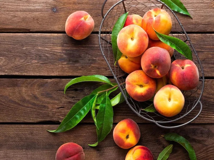 beware-of-beautiful-looking-fruits-they-are-counted-among-the-most-poisonous-fruits-in-the-world