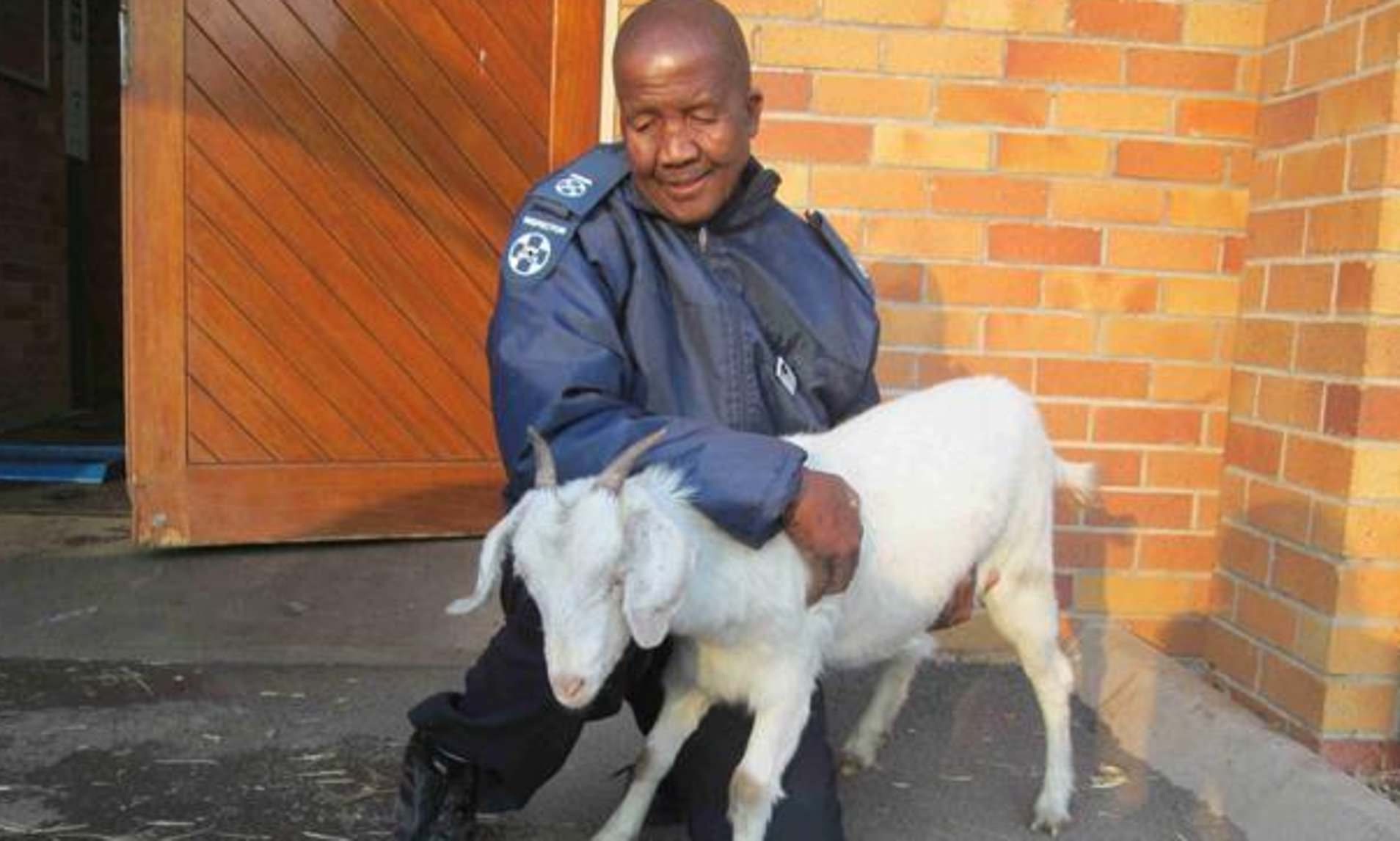 Let's talk !!! Sheep sentenced to life in prison for killing woman