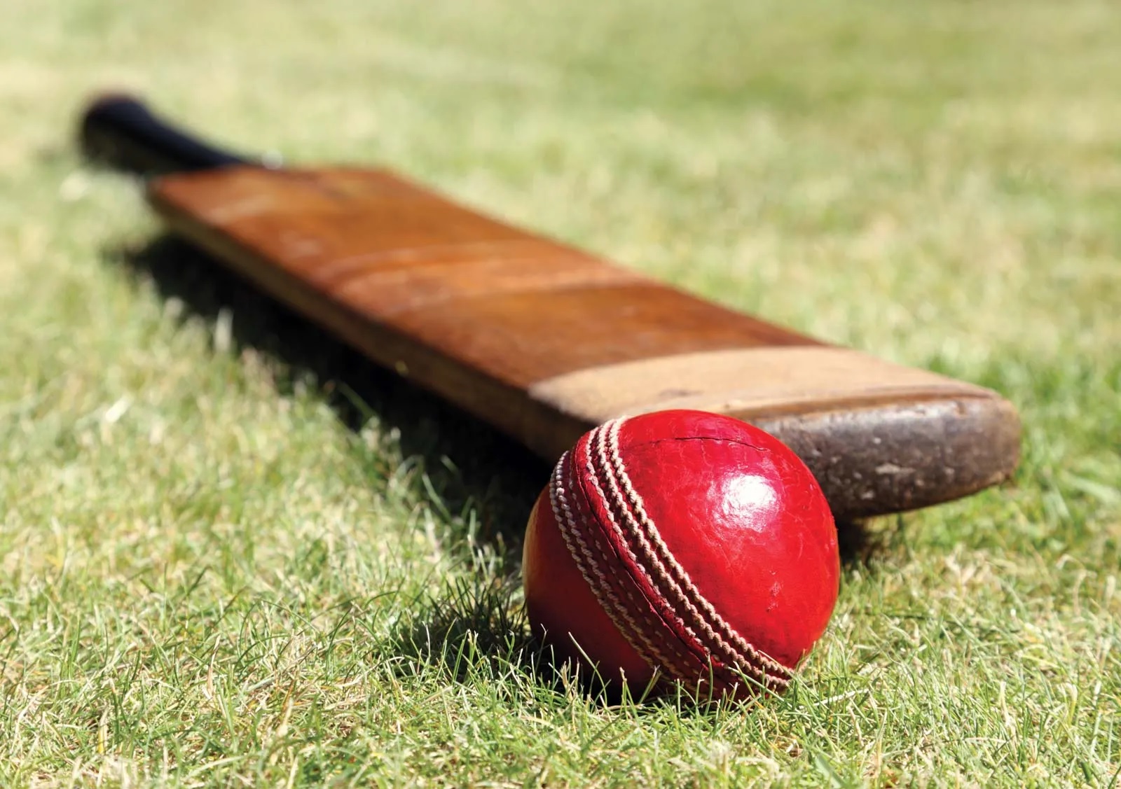 These veteran cricket players who have become victims of overweight! The list also includes two Indian players