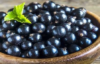 Do you also like to eat purple? Please read this once before