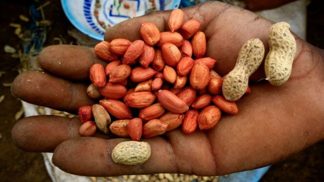 114208229 gettyimages 1227995255