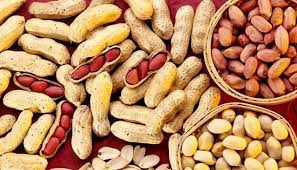 1689578437 92 મગફળીના ફાયદા વજન ઘટાડવાથી લઈને યાદશક્તિ વધારવા સુધી જાણો મગફળી