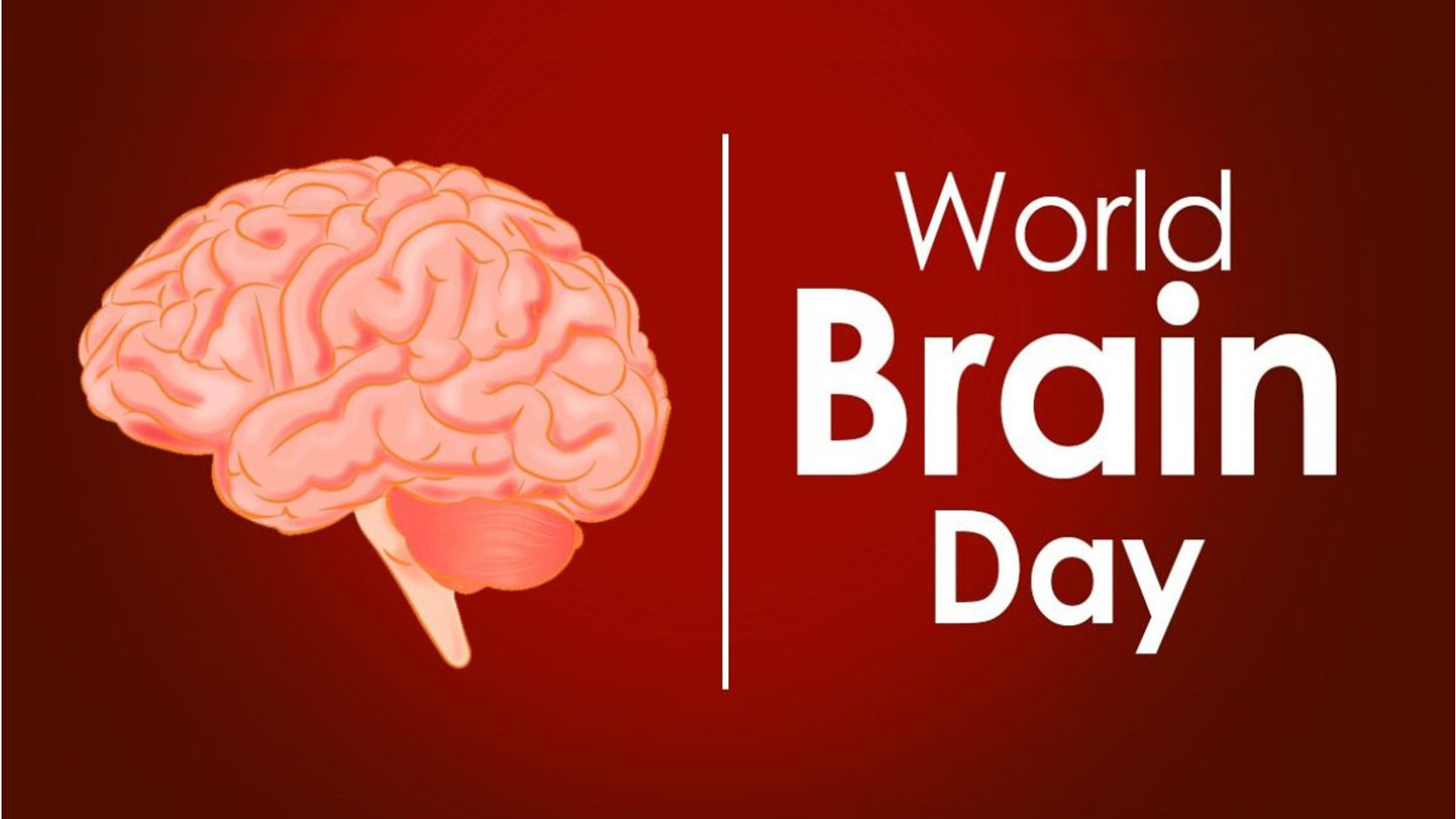 World Brain Day 2020 History Theme Significance Know More 1200x675 1