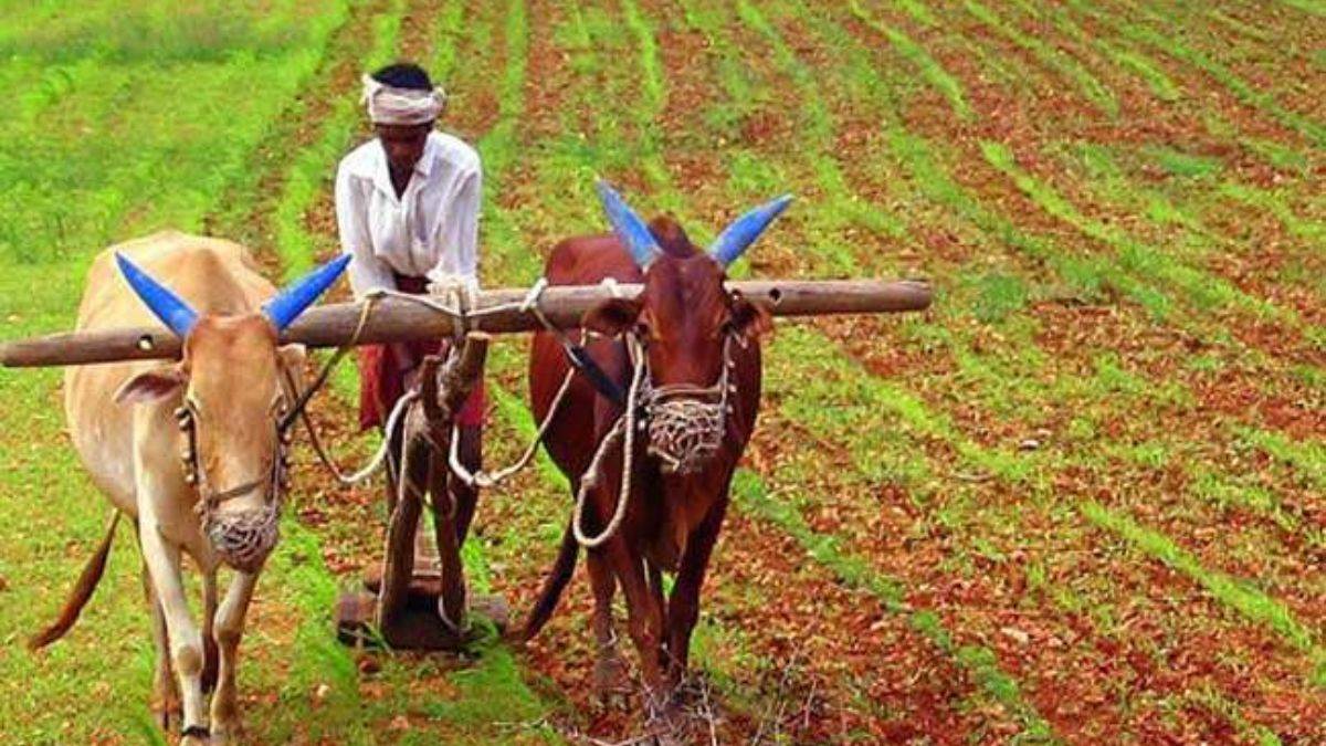 08 08 2023 pm kisan 15th kist