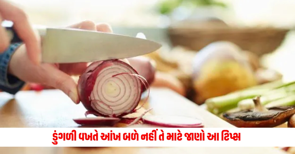 Garvi Gujarat Feature Photo 1 2
