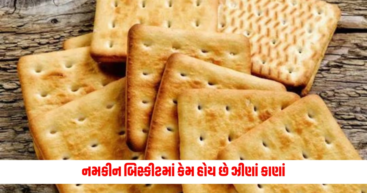 Garvi Gujarat Feature Photo