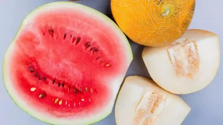 watermelon vs muskmelon.1