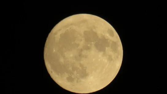 માર્ગશીર્ષ અમાવસ્યા ક્યારે છે? જાણો પૂજાની તારીખ, સમય અને વિધિ 2 amavasya 2024 kab hai margashirsha amavasya date time and pooja vidhi1