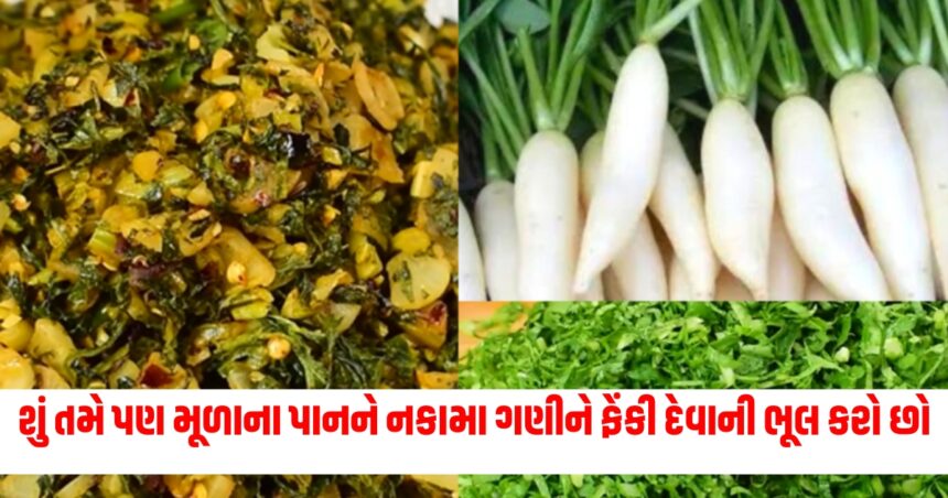 શું તમે પણ મૂળાના પાનને નકામા ગણીને ફેંકી દેવાની ભૂલ કરો છો, આ ટ્રિકથી બનાવો ટેસ્ટી ભુજિયા, નોંધી લો રેસિપી. 1 vegetables